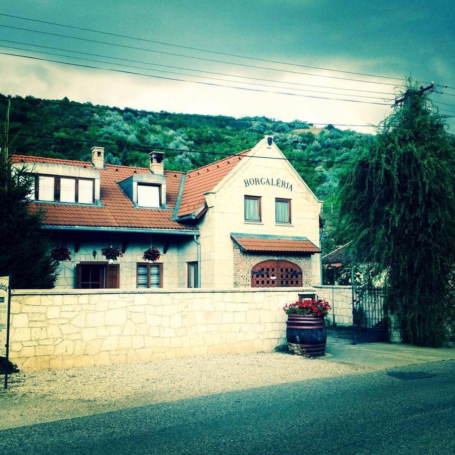 Hotel Borgaléria Tokaj Esterno foto